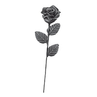 Hojas - Flores