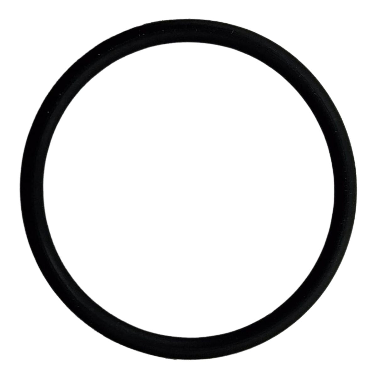 O RING (TNT135 / TNT 125)