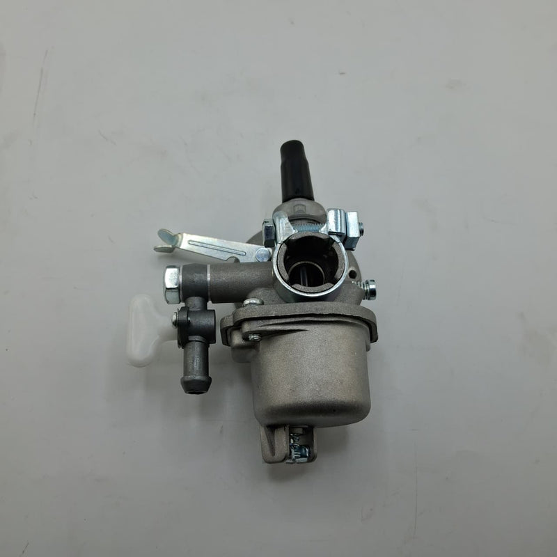 Carburador (WSP02095108) Carburetor  Ass'Y