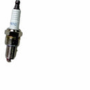 Bujia (WSP02077008) SPARK  PLUG  F6TC