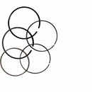 Anillos del Piston (WSP02077022) Piston  Ring  Set