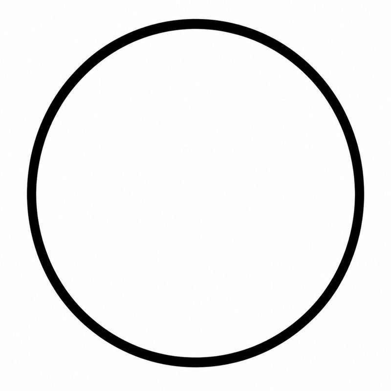 O-ring tapa intermedia (VELTRAX 300)