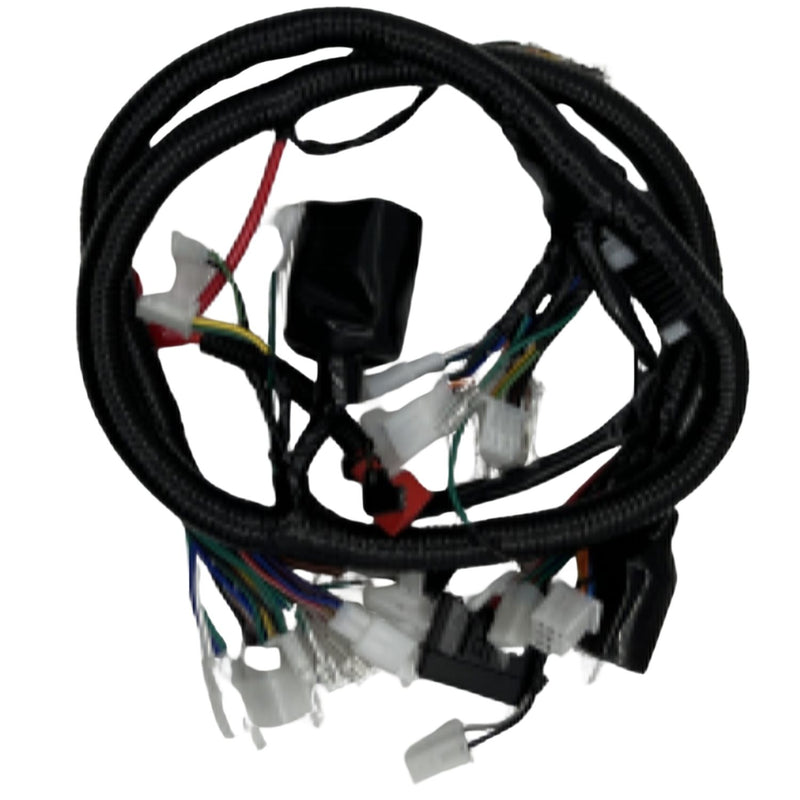 Arnés principal (VELTRAX 300)