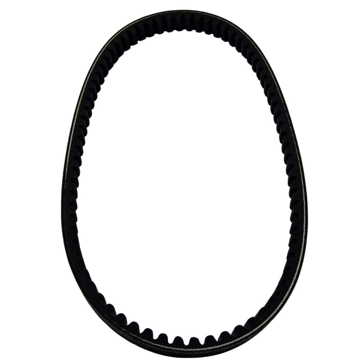 Correa de cuero (K-BLADE125)