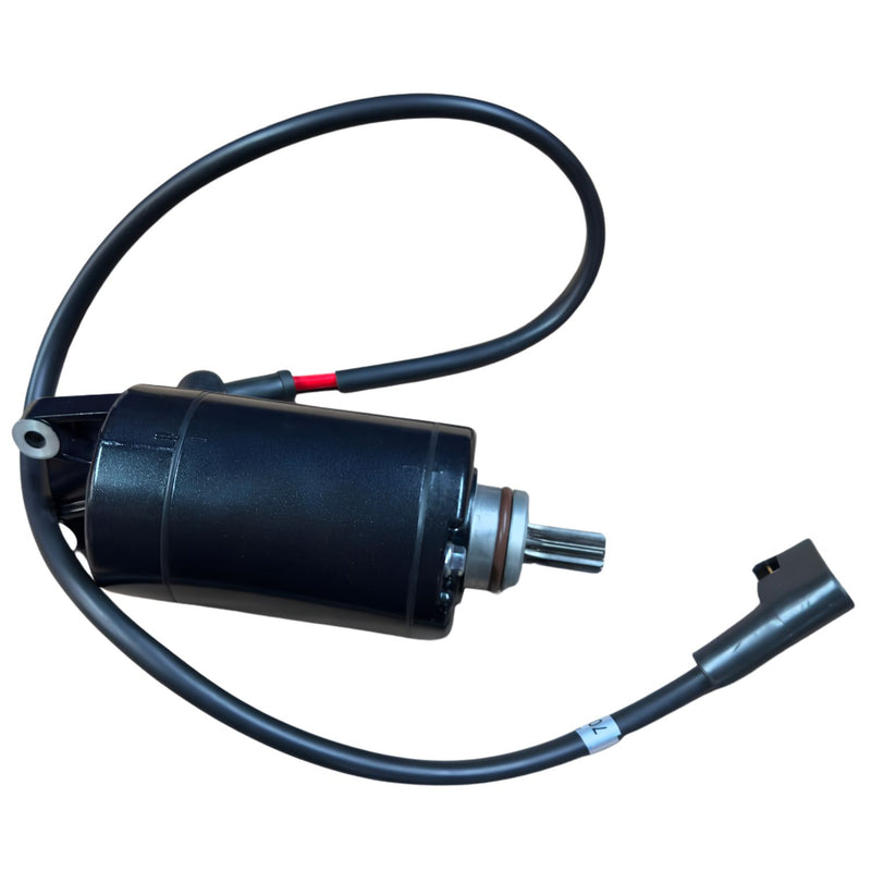 Motor de arranque (Dragoon 250)