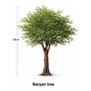 Árbol Banyan Artificial Decorativo para Interiores 1.8mts.