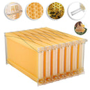 Colmena en Caja de Madera Natural con 7 Marcos Plásticos. Panal con Espesor 18mm con Flujo de Miel Automático. Caja Apicultura Hasta 25 Kg de Miel.