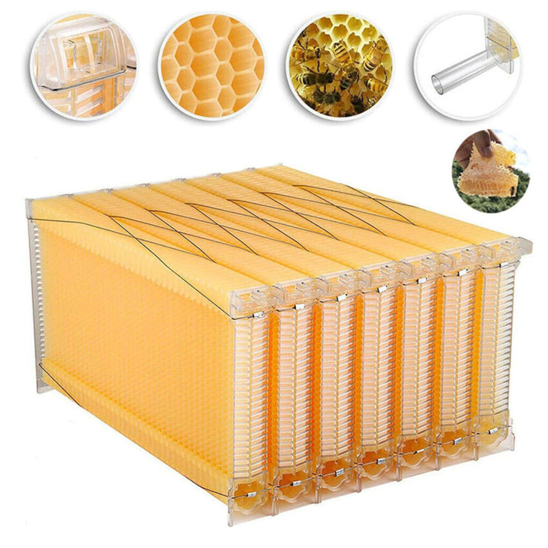 Colmena en Caja de Madera Natural con 7 Marcos Plásticos. Panal con Espesor 18mm con Flujo de Miel Automático. Caja Apicultura Hasta 25 Kg de Miel.