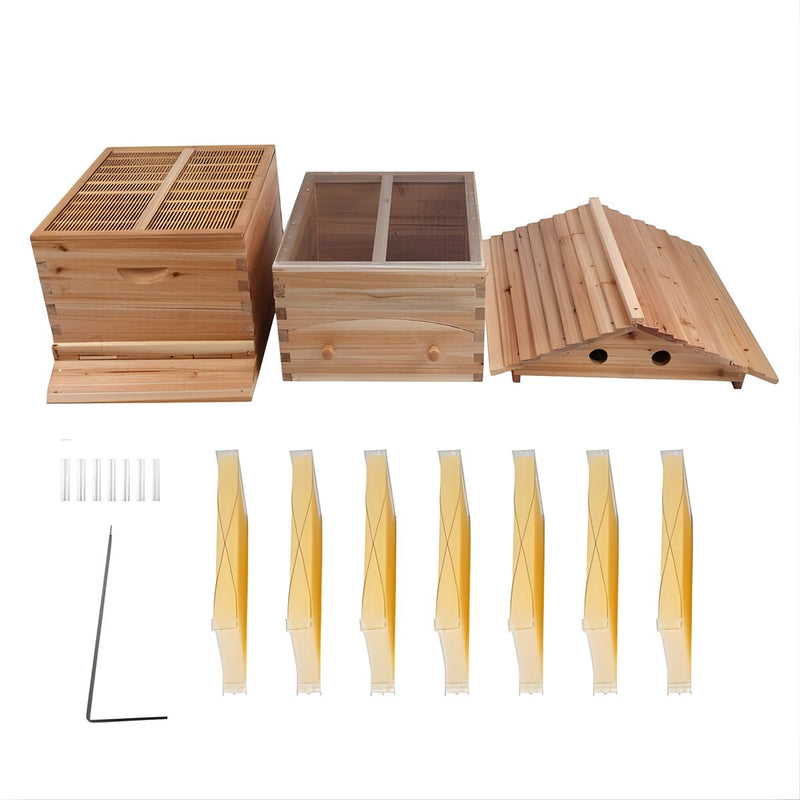 Colmena en Caja de Madera Natural con 7 Marcos Plásticos. Panal con Espesor 18mm con Flujo de Miel Automático. Caja Apicultura Hasta 25 Kg de Miel.