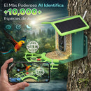 Comedero para pajaros y Aves con Cámara 4MP WiFi y Panel Solar. Cámara inalámbrica con Detección IA de Especies y Visión Nocturna Color. IP66. Incluye Memoria SD 32GB.