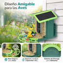 Comedero para pajaros y Aves con Cámara 4MP WiFi y Panel Solar. Cámara inalámbrica con Detección IA de Especies y Visión Nocturna Color. IP66. Incluye Memoria SD 32GB.