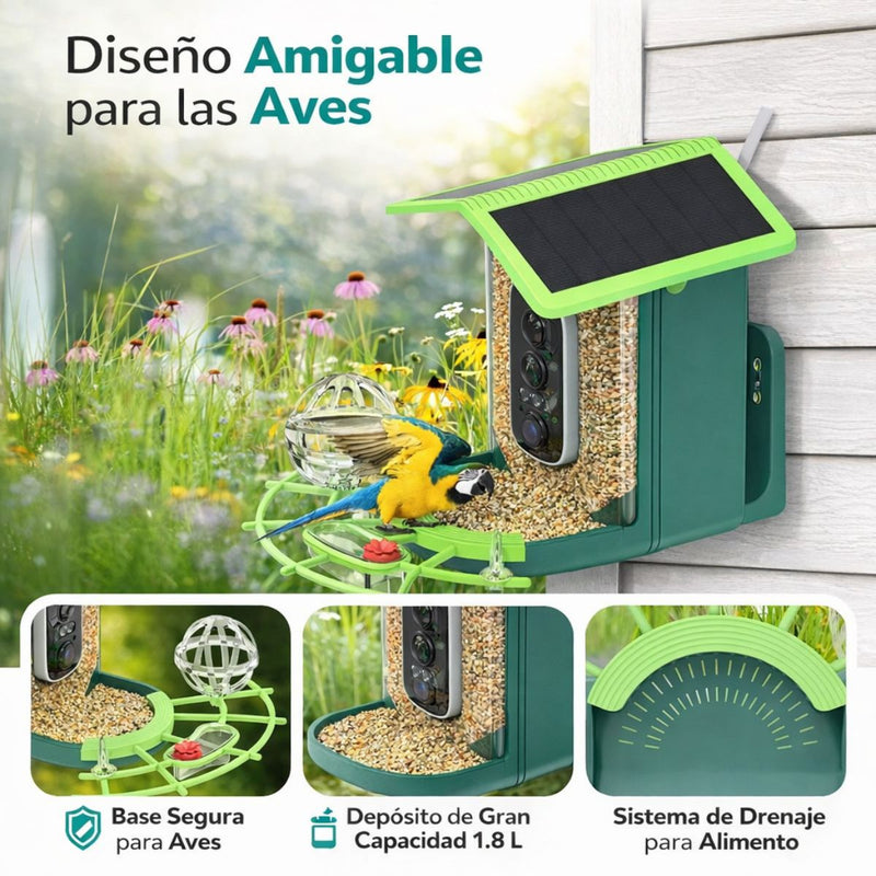 Comedero para pajaros y Aves con Cámara 4MP WiFi y Panel Solar. Cámara inalámbrica con Detección IA de Especies y Visión Nocturna Color. IP66. Incluye Memoria SD 32GB.