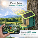 Comedero para pajaros y Aves con Cámara 4MP WiFi y Panel Solar. Cámara inalámbrica con Detección IA de Especies y Visión Nocturna Color. IP66. Incluye Memoria SD 32GB.