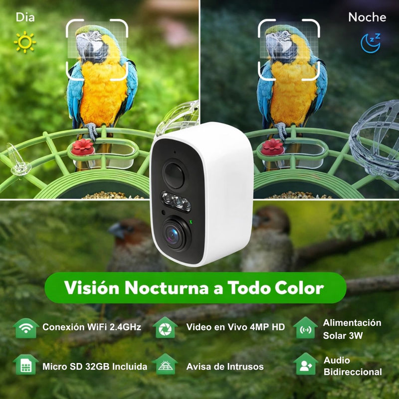 Comedero para pajaros y Aves con Cámara 4MP WiFi y Panel Solar. Cámara inalámbrica con Detección IA de Especies y Visión Nocturna Color. IP66. Incluye Memoria SD 32GB.