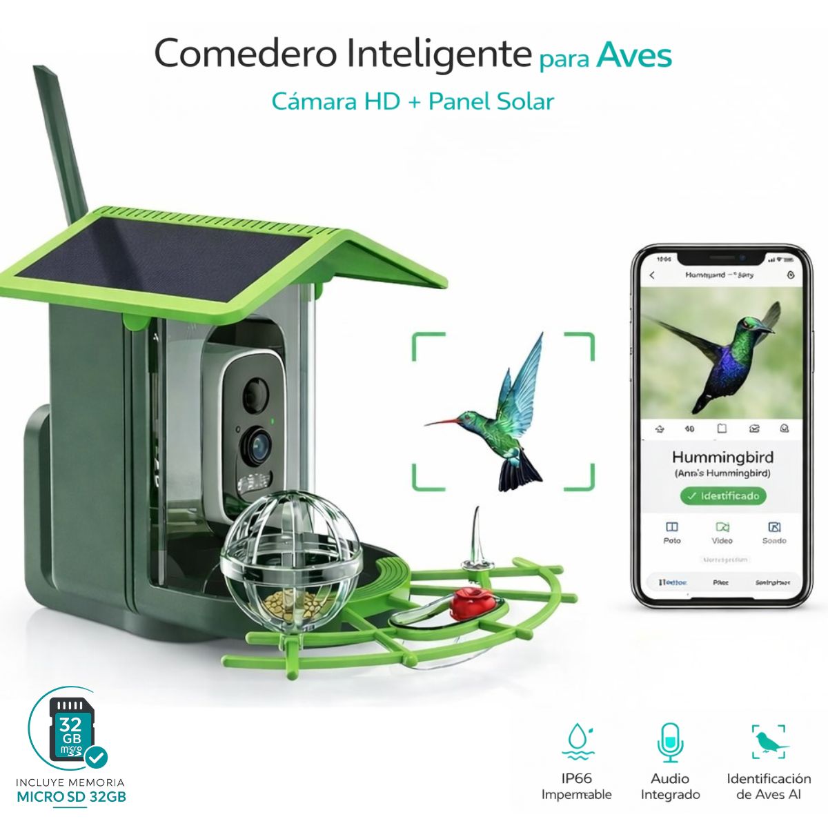 Comedero para pajaros y Aves con Cámara 4MP WiFi y Panel Solar. Cámara inalámbrica con Detección IA de Especies y Visión Nocturna Color. IP66. Incluye Memoria SD 32GB.
