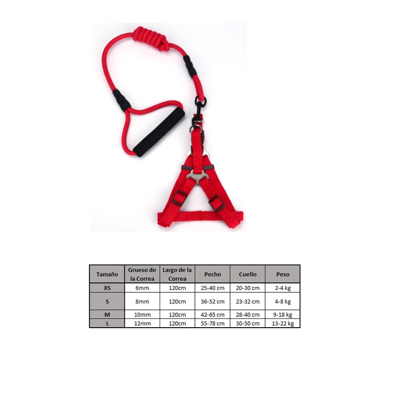 Correa y Pechera 2 en 1 para mascotas