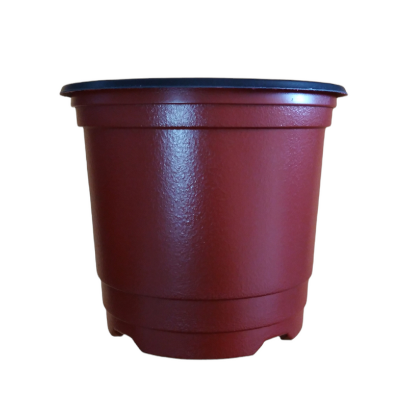 Pote para vivero 12 cm, color terracota
