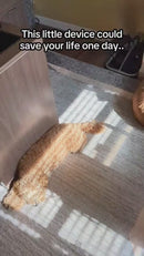 Detector Alarma De Gas, Monóxido De Carbono, Temperatura Y Humedad 4-En-1 Con Pantalla Digital De Plástico ABS Antiflama