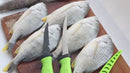 Cuchillo Filetero De Pesca 33.5 Cm. Acero Inoxidable, Hoja Dentada Y Mango Ergonómico. Pescado