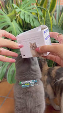 Juguete Para Gatos. Pelota Con Movimiento Automático Y Cuerda. 3 Modos De Juego.