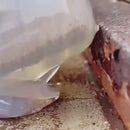 Adhesivo Sellador Impermeable Transparente Con Pincel 100G. Alta Resistencia Para Reparaciones Y Sellado.