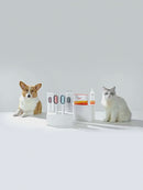 Cepillo Para Mascotas Con Depósito De Agua Integrado, Removedor De Pelo Y Masajeador 3 En 1. Cepillo De Limpieza Para Perros Y Gatos De Silicona Suave.