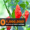 Semillas de aji (HOT) Bhut Jolokia / ají fantasma (No GMO). 5 semillas aproximadamente.