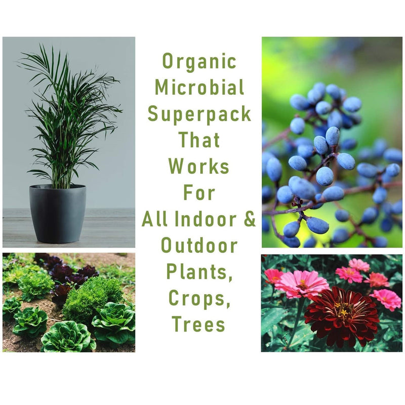 Paquete microbios de micorrizas, bacillus, trichodermas para mejorar el suelo. 3Oz.
